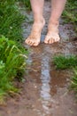 Feet of a young woman walking barefoot through the puddles after Royalty Free Stock Photo