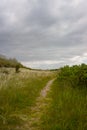 Fehmarn, Germany - 05/26/2020: Small Footpath On The Isle Of Fehmarn Near The Lighthouse Of FlÃÂ¼gge