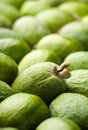 Feijoa