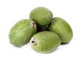 Feijoa Royalty Free Stock Photo