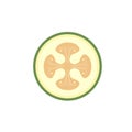 Feijoa in cut flat design vector illustration