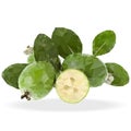 Feijoa fruit Royalty Free Stock Photo