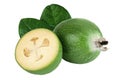 Feijoa fruit isolated on white background Royalty Free Stock Photo