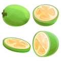 Feijoa icons set, cartoon style Royalty Free Stock Photo