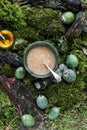 Feijoa puree in a green bowl on a carpet of moss and forest branches Royalty Free Stock Photo