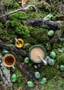 Feijoa puree in a green bowl on a carpet of moss and forest branches Royalty Free Stock Photo