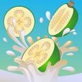 Feijoa splash vector Royalty Free Stock Photo