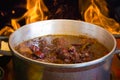 Feijoada. Traditional Brazilian food. Background with fire