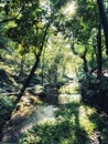 The Feilai-Feng stonemason Lingyin Temple, Hangzhou Royalty Free Stock Photo