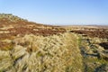 A feint footpath through the grass and heather runs along side Stanage Edge Royalty Free Stock Photo