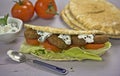 Felafel in pita bread Royalty Free Stock Photo