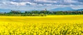 Feldioara Fortress, Transylvania - Romania and rapeseed field