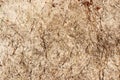 Feldspar stone texture - background Royalty Free Stock Photo