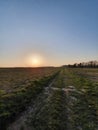 Feldweg Sonnenuntergang / Dirt Road Sunset