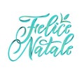 Felice Natale Merry Christmas italian language.Hand calligraphy modern lettering with texture. blue color