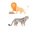 Felid or Wild Cat as Carnivore Animal with Lion and Bengal Tiger Vector Set Royalty Free Stock Photo