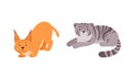 Felid or Wild Cat as Carnivore Animal with Lynx or Bobcat Vector Set