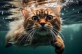 Feline Aquatics: A Cat in Glasses Takes the Plunge Underwater. Generative By Ai