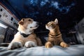 feline and canine astronauts floating in zero gravity, gazing at the stars