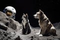 feline and canine astronauts on the moon, surrounded by lunar surface