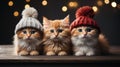 Feline Celebrations: Photographing Cats in the Greeting Card, Capturing the Magical Essence of the Christmas Holidays...Greeting