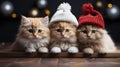 Feline Celebrations: Photographing Cats in the Greeting Card, Capturing the Magical Essence of the Christmas Holidays...Greeting