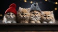 Feline Celebrations: Photographing Cats in the Greeting Card, Capturing the Magical Essence of the Christmas Holidays...Greeting