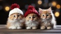 Feline Celebrations: Photographing Cats in the Greeting Card, Capturing the Magical Essence of the Christmas Holidays...Greeting