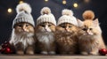 Feline Celebrations: Photographing Cats in the Greeting Card, Capturing the Magical Essence of the Christmas Holidays...Greeting