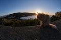 Feline colony during sunup on calamosca beach from capo sant`Elia lighthouse