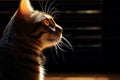 Feline elegance, sunlight reveals the outline of a striped cat