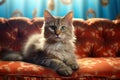 Feline Fashion: A Cozy Cat on a Blue Wallpapered Couch Royalty Free Stock Photo