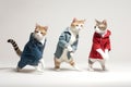 Feline Fashionistas: Cats Dancing Break Dance in Human Clothes.