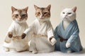 Feline Fashionistas Strike a Pose: Three Cats in Human Clothes Doing Karate on White Background.