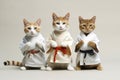 Feline Fashionistas Strike a Pose: Three Cats in Human Clothes Doing Karate on White Background.