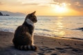 Feline-friendly Cat beach sand sunny. Generate Ai