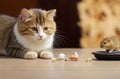 Feline Fun: Cat Playfully Engaging with a Little Gerbil Mouse on the Table.