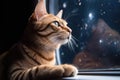 feline looking out window of spaceship, with view of the stars and planets in the background