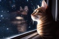 feline looking out window of spaceship, with view of the stars and planets in the background