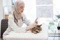 Feline practitioner giving injection to adult cat in clinic