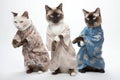 Feline Tai Chi Masters: Three Cats in Human Tunics Practicing on White Background.