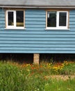 Blue cabin style dwelling with colourful flowers in bloom.