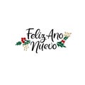 Feliz Ano Nuevo Hand Lettering Greeting Card. Happy New Year in Spanish. Vector Illistration. Modern Calligraphy.
