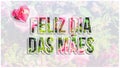 Feliz Dia das Maes portuguese message written on flower backgr