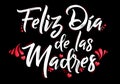 Feliz Dia de las Madres, Happy Mothers Day spanish translation message