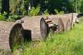 Felled boles Royalty Free Stock Photo