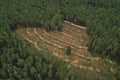 Felled forest, aerial view. Destruction of forests and felling of trees. Forests illegal disappearing. Environmetal and ecological