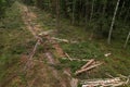 Felled forest, aerial view. Destruction of forests and felling of trees. Forests illegal disappearing. Environmetal and ecological