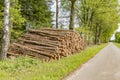 Felled and stacked tree trunks lying at the forest edge Royalty Free Stock Photo