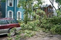 Felled Tree in Street after Severe Storm Royalty Free Stock Photo